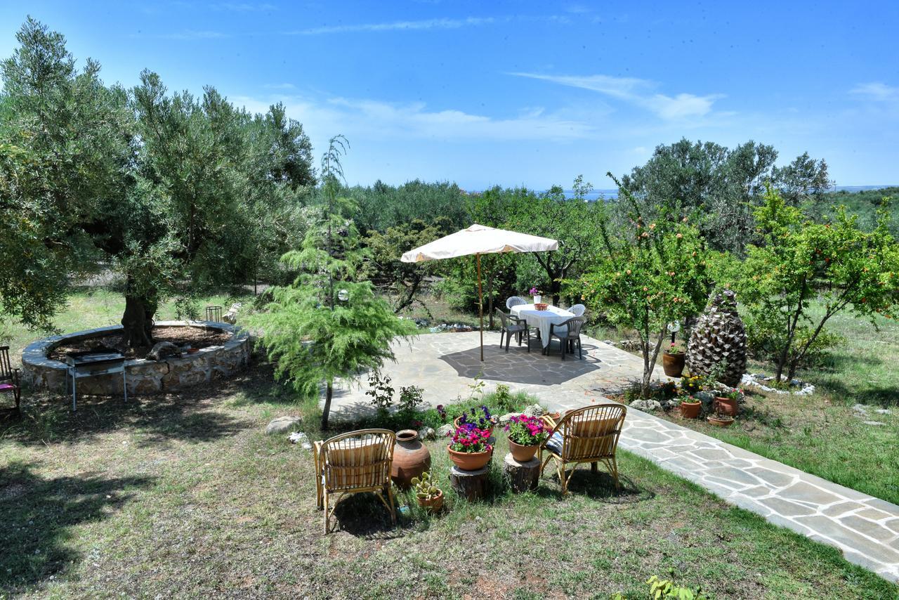 Nature Villa Gerakini Exteriér fotografie